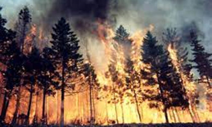 Dichiarazione di massima pericolosità incendi boschivi dal 08 luglio